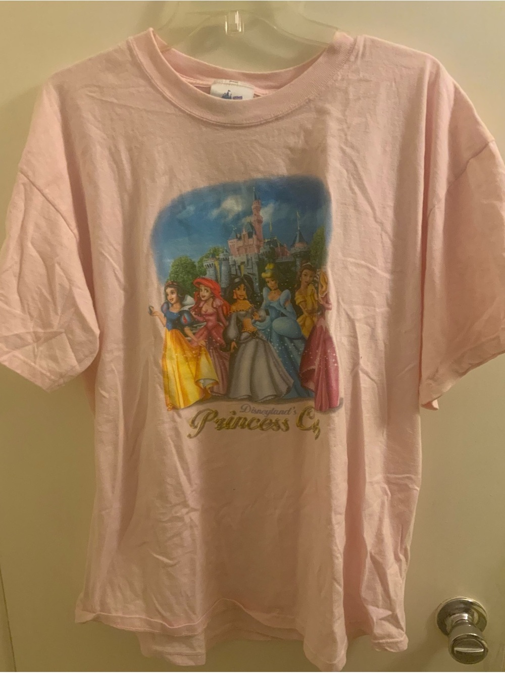 Disney Light Pink Women’s Short Sleeve Princess Graphic Tee